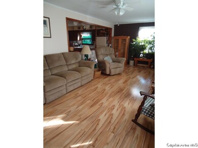 420 S East St, Virginia, IL 62691 - photo 6