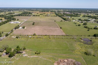 3-web-or-mls-DJI_0013