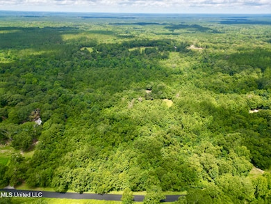 Tract 2 Gumpond Beall Rd, Lumberton, MS 39455 - photo 3