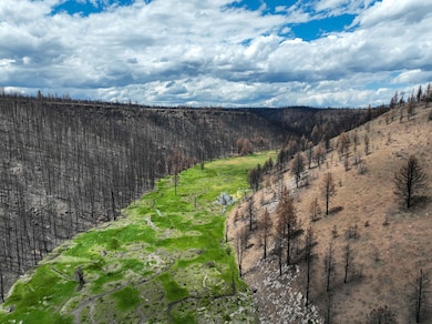 Forest Service Rd 3745, Burns, OR 97720 - photo 6