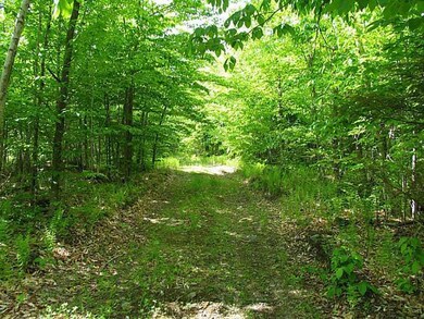 Land/Lot.