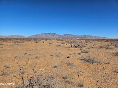 LOT 169 Chiricahua Trail Ranches Pione -- unit 169, Willcox, AZ 85643 - photo 2