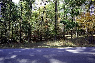 Lt.177 Laurel Way, Sparta, GA 31087 - photo 6