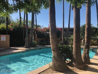 pool1