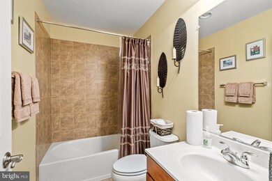 3409 Kemper Rd, Arlington, VA 22206 - photo 5