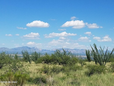 0 S Canyon Overlook Trail unit 22524662, Benson, AZ 85602 - photo 3