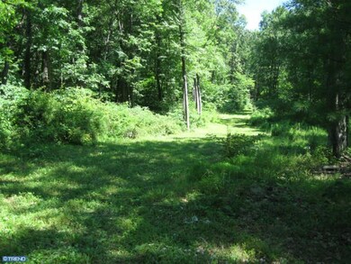 151 Sousley Rd, Lenhartsville, PA 19534 - photo 4