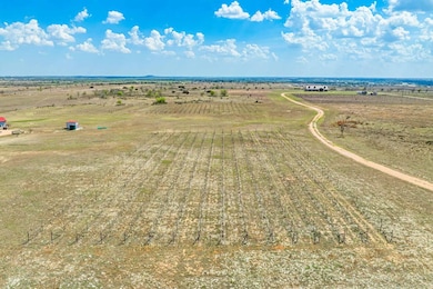 3059 County Road 212, Bertram, TX 78605 - photo 7