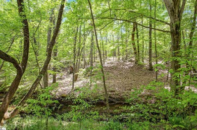 00 Cross Anchor Rd unit East Lot, Woodruff, SC 29335 - photo 2