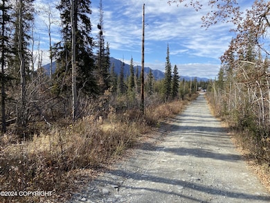 Mi 81 Richardson Hwy, Copper Center, AK 99573 - photo 5