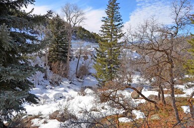 20602 Surface Creek Rd, Cedaredge, CO 81413 - photo 4