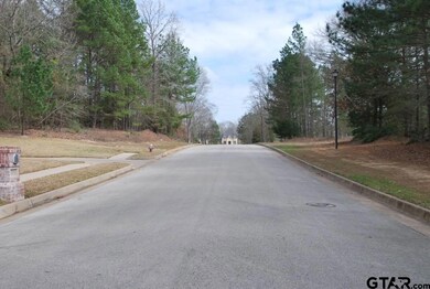 2045 Equestrian Ln, Tyler, TX 75703 - photo 5