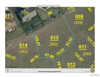 5 Grant Ct, Troy, IL 62294 - photo 4