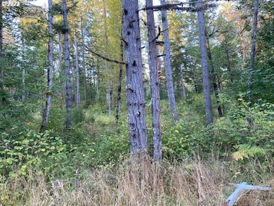 0 McGowan Creek Rd unit 23316316, Springfield, OR 97478 - photo 4