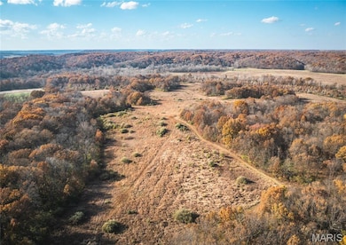 TBD SW 875 St, Kane Township, IL 62031 - photo 4