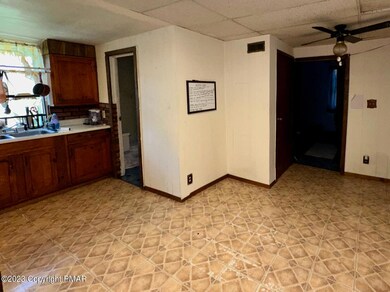 1142 Greenway Ave, Stroudsburg, PA 18360 - photo 4