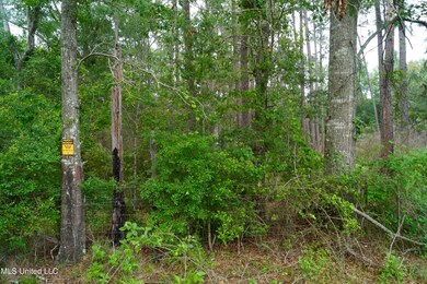 181 Jub Hickman Rd, Perkinston, MS 39573 - photo 5