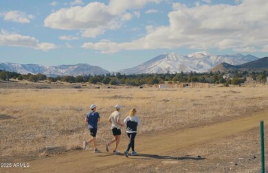 6672 Meadows Ln, Flagstaff, AZ 86004 - photo 7