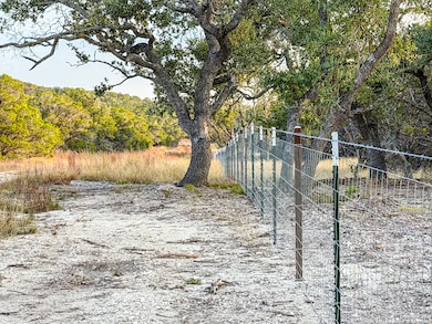 100 ACRES N Cranes Mill Rd, Canyon Lake, TX 78133 - photo 4