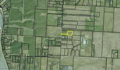 Auditor Site