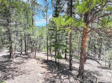 456 Lo Meadow Ln unit 13, Bailey, CO 80421 - photo 5