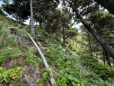 TL#3900 S Castle Ln, Oceanside, OR 97141 - photo 6