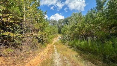 0 Jeanette Holladay Rd, Parsons, TN 38363 - photo 7