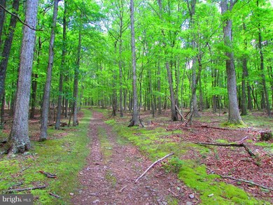 17 Rock Slide Way, Romney, WV 26757 - photo 4