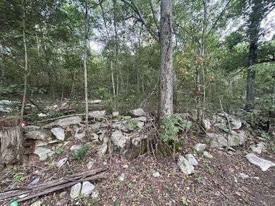 0 Greenhaw Rd unit RTC2963691, Decherd, TN 37324 - photo 2