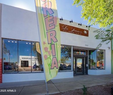 703 E Western Ave, Avondale, AZ 85323 - photo 4