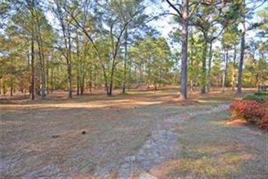 Gorgeous front yard - path leads to front of house
