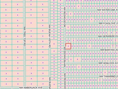 Flood Zone Code X (NO FLOOD ZONE)