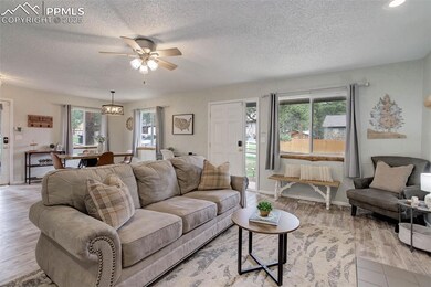 601 Dallas Aly, Woodland Park, CO 80863 - photo 7