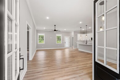 6909 Pauley Swamp Rd, Conway, SC 29527 - photo 7