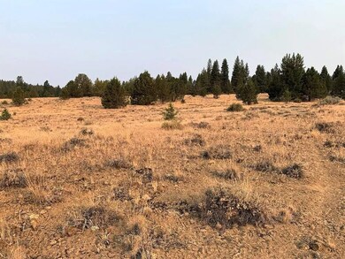 0 Crocodile unit 25654430, Bonanza, OR 97623 - photo 6