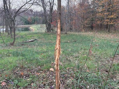 467 Pcr 704, Perryville, MO 63775 - photo 6