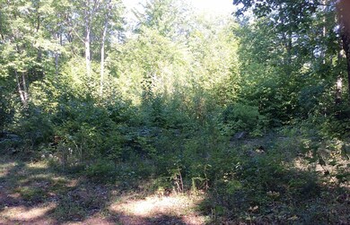 146 S Bridgton Rd, Bridgton, ME 04009 - photo 3