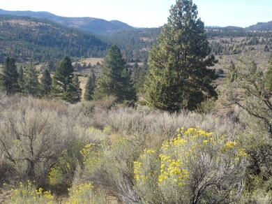 unlisted-address, Unity, OR 97884 - photo 5