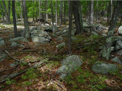 88B Rattlesnake Island, Alton, NH 03809 - photo 7