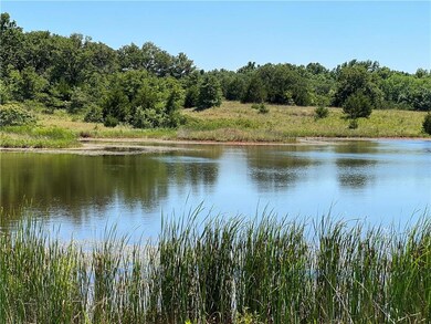 Pond #1