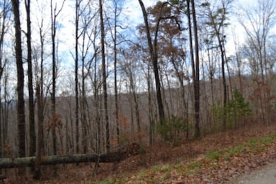 Lot 75 Tomahawk Rd, Jamestown, TN 38556 - photo 4