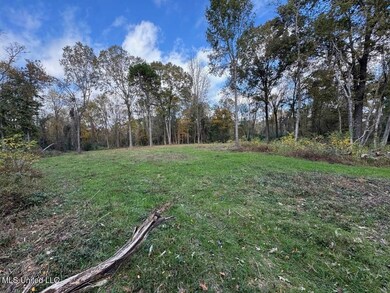 4 Old Hamburg Rd, Roxie, MS 39661 - photo 4