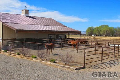 4 Horse Paddocks