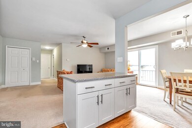 Rockford Tower Condominiums unit G-22, Wilmington, DE 19806 - photo 5