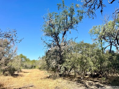 0 County Road 215, McCoy, TX 78113 - photo 6
