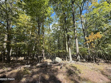 0 Paper Birch Rd N, Tafton, PA 18464 - photo 6