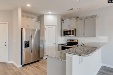 1181 Coopers Ridge Ln, Elgin, SC 29045 - photo 5