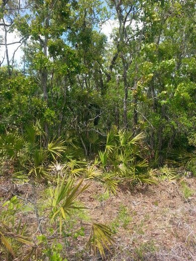 0 Seameadows Dr unit 331342, Perry, FL 32348 - photo 4