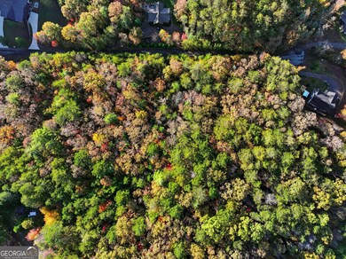 0 Autumn Ridge Drive Lot 10 & Lot 11 Dr unit 10647540, Mineral Bluff, GA 30559 - photo 7