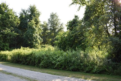 Mside